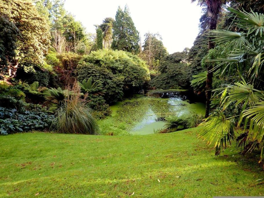 סנט אוסטל White Eden - Explore Cornwall From A Comfy Central Appartment מראה חיצוני תמונה
